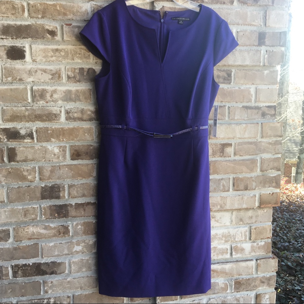 Antonio Melani royal purple business dress.  NWT!